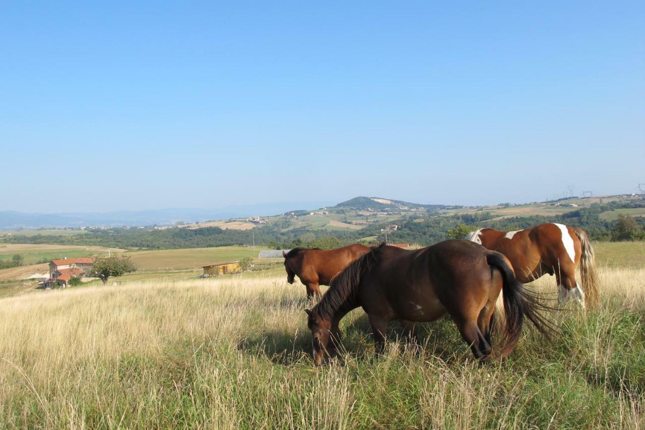Gite Le Corral Cheminas Dış mekan fotoğraf